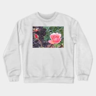 Pink Rose & Bud Crewneck Sweatshirt